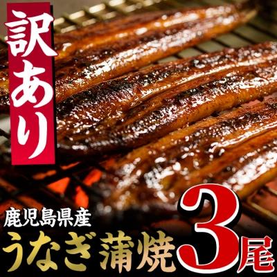 ふるさと納税 いちき串木野市 鹿児島県産うなぎ蒲焼3尾(約400g)個別真空パックでお届け