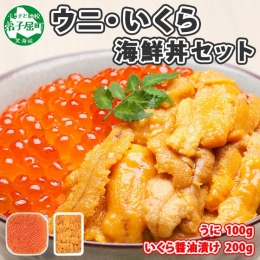 1768.  うに 100g いくら醤油漬け 200g ウニ チリ産 冷凍 いくら 二色丼 雲丹 イクラ 海鮮 海鮮丼 うに丼 いくら丼 いくら醤油漬け 送料無料 北海道 弟子屈町