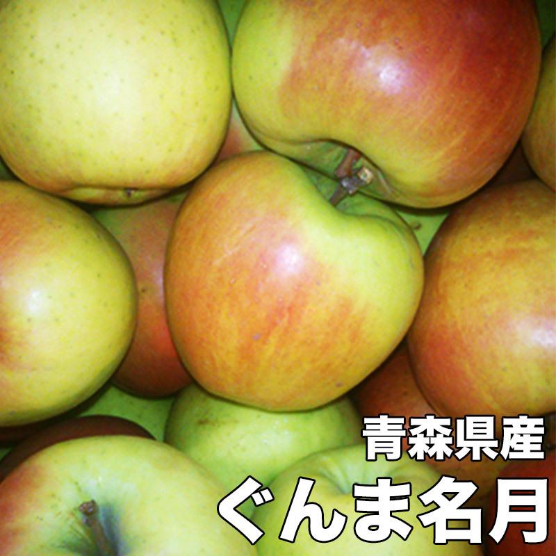 りんご 訳あり 5kg 青森県産 ぐんま 名月 約5kg 訳あり 幻のりんご 送料無料 傷あり 予約 11月下旬頃から発送開始