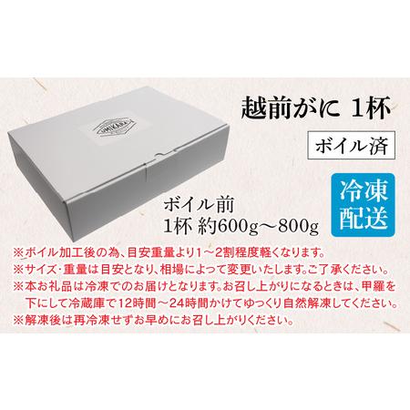 ふるさと納税 福井県産 越前がに×1杯（プロトン凍結） 福井県高浜町