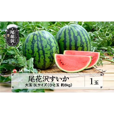 ふるさと納税 先行予約 すいか スイカ 尾花沢すいか 3Lサイズ 約8kg×1玉 7月下旬〜8月10日頃発送 令和6年産 2024年産 尾花沢 スイカ すい.. 山形県尾花沢市