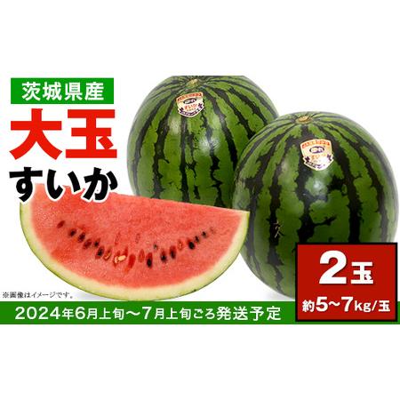 ふるさと納税 12-24茨城県産大玉すいか2玉セット（約5〜7kg 玉） 茨城県下妻市