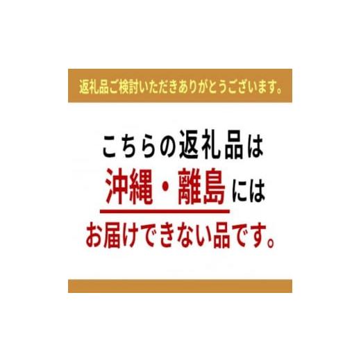 ふるさと納税 秋田県 男鹿市 あきたこまち玄米10kg