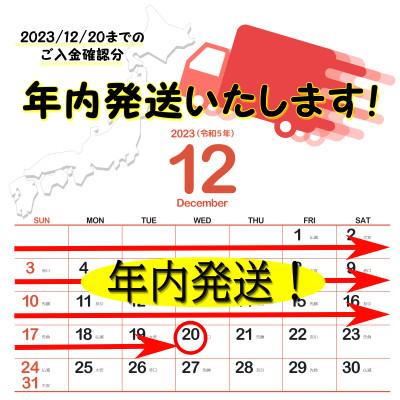 ふるさと納税 泉佐野市 年内発送 さのうまみ鶏 しっとりむね肉2kg 下処理不要の時短調理食材 010B956