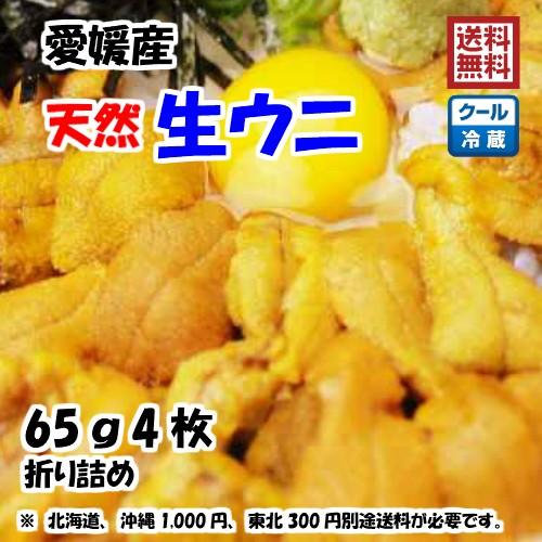 生ウニ 板ウニ 60g4枚 愛媛 天然 紫ウニ 赤ウニ 素潜り海士 送料無料 北海道 沖縄 東北は別途送料 浜から直送 宇和海の幸問屋 愛媛百貨店