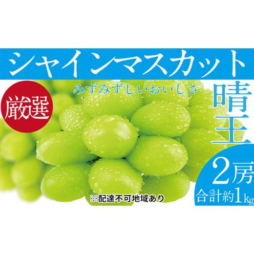 ふるさと納税 岡山県 瀬戸内市 ぶどう 2024年 先行予約 シャイン マスカット 晴王 2房（合計約1kg） ブドウ 葡萄  岡山県産 国産 フルーツ 果物 ギフト [No.57…