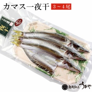 日本海産 カマス一夜干 3～4尾入　かます カマス 干物 ひもの 乾物 お惣菜 魚 ご飯のおかず グルメ