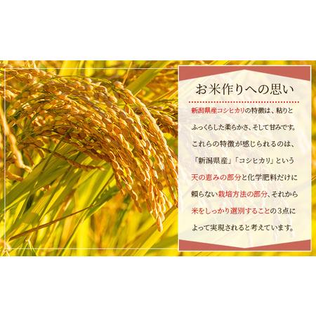 ふるさと納税 新潟産コシヒカリ精米15kg真空パック（5kg×3袋） 米 コメ こめ お米 おこめ 白米 精米 コシヒカリ こしひかり 15kg ご飯 ごは.. 新潟県新潟市