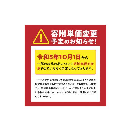 ふるさと納税 愛知県 小牧市 山樹の本格味噌もつ鍋　５〜６人前セット