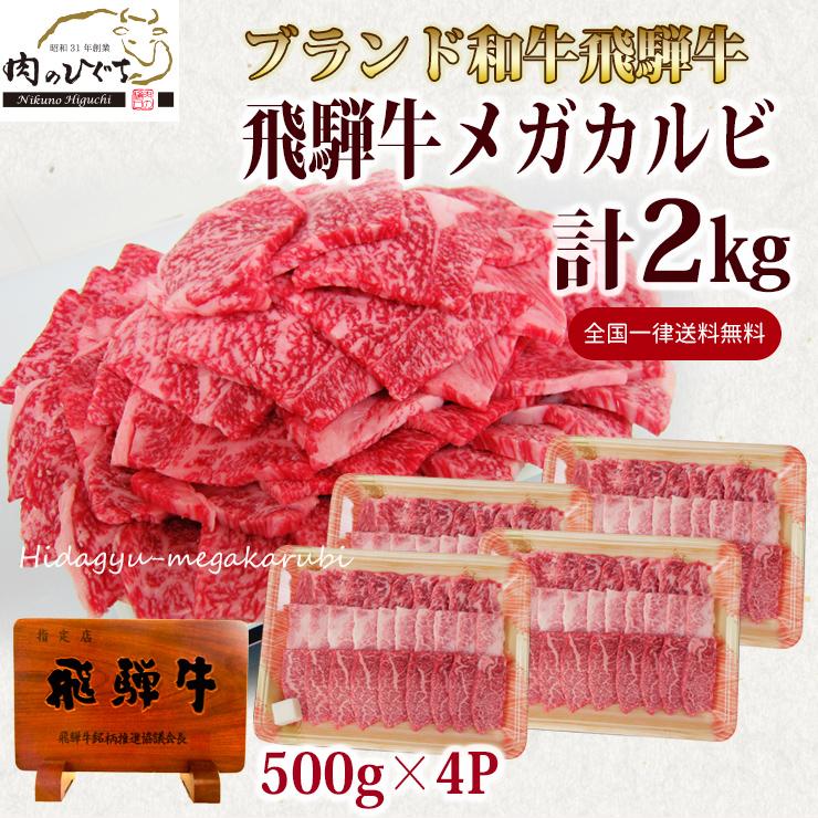 肉 福袋 牛肉 焼肉セット 飛騨牛 メガ盛 カルビ 2kg 約8人〜10人 焼肉 焼き肉 黒毛和牛 バーベキュー バーベキューセット