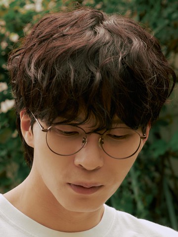 AL8401 1616M Titanium Brown Layered Bridge Glasses