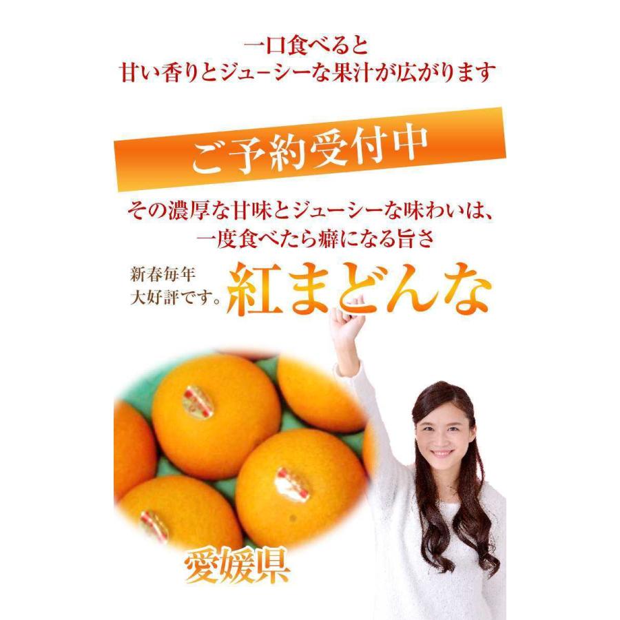 紅まどんなみかん　約3KＭサイズ〜３Ｌサイズ入り　御歳暮