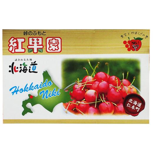 ふるさと納税 北海道 仁木町 峠のふもと紅果園 北海道 仁木町産 さくらんぼ又は800g