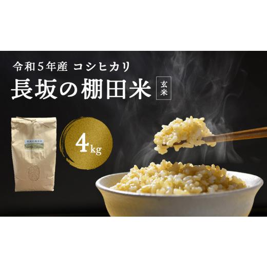 ふるさと納税 富山県 氷見市 令和5年産 富山県産 コシヒカリ 長坂の棚田米 4kg （玄米） ＜9月末以降順次発送＞ 富山県 氷見市 こしひかり 棚田