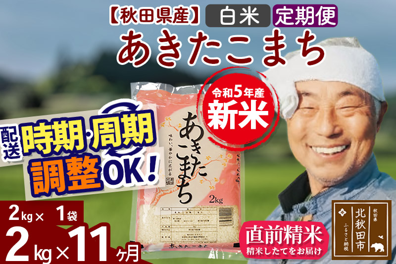 《定期便11ヶ月》＜新米＞秋田県産 あきたこまち 2kg(2kg小分け袋) 令和5年産 配送時期選べる 隔月お届けOK お米 おおもり|oomr-10111