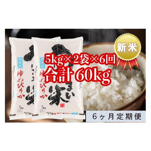 ふるさと納税 北海道 雨竜町 うりゅう米「ゆめぴりか（無洗米）」5kg×2袋 定期便！毎月1回・計6回お届け