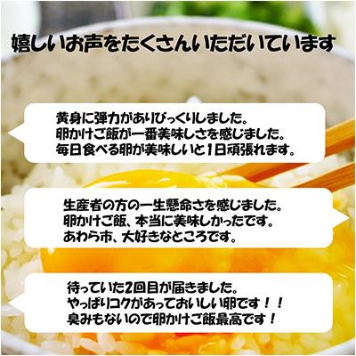 ふるさと納税 あわら市 濃厚で甘くておいしい! 福井ブランド「福地鶏」の卵 30個全12回