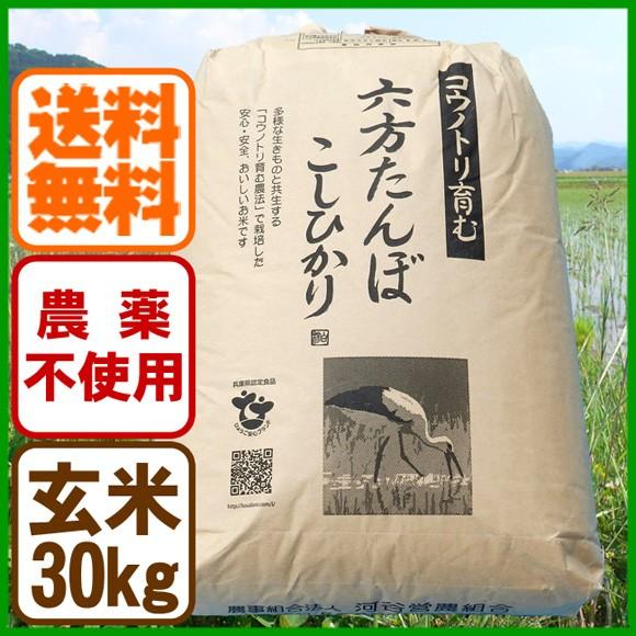 新米 玄米 農薬不使用 コシヒカリ30kg 令和5年産 こうのとり米 送料無料 兵庫県産