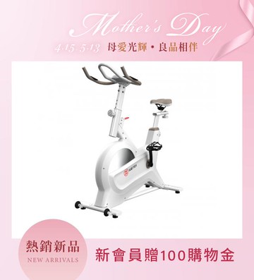 創飛輪健身車