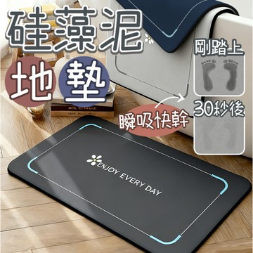 隔日到貨 浴室地墊 硅藻泥地墊 門口地墊 浴室腳踏墊 吸水地墊 腳踏墊浴室 防滑地墊 加厚地墊 廁所地墊 浴室止滑墊