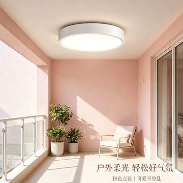 12W 單色吸頂燈 L01-1986B