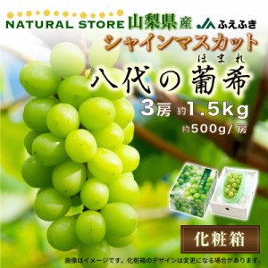 [最短順次発送]    シャインマスカット 葡希 ほまれ 3房 約1.5kg 八代支所 山梨県産 笛吹 JAふえふき ぶどう ギフト 通販 秋ギフト  果実