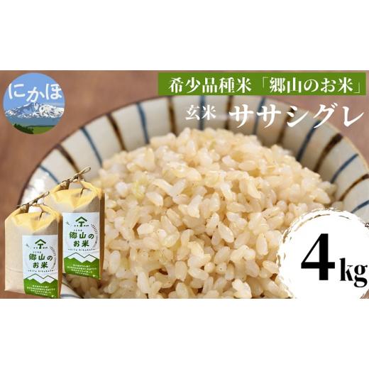 ふるさと納税 秋田県 にかほ市 ササニシキの親　農薬不使用のササシグレ「郷山のお米」4kg（2kg×2袋）（玄米）