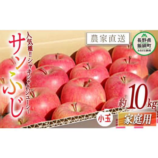 ふるさと納税 長野県 飯綱町 りんご サンふじ 家庭用 小玉 10kg 松橋りんご園 沖縄県への配送不可 2024年1月上旬頃から2024年4月上旬頃まで順次発送予定 …