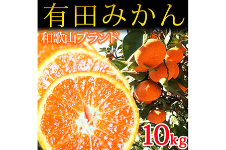 完熟有田みかん10kg ※2023年11月下旬～2024年1月下旬頃に順次発送予定