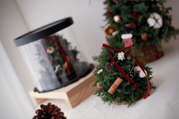 材料包-小型雪松聖誕樹 聖誕節 永生雪松 聖誕樹 永生花