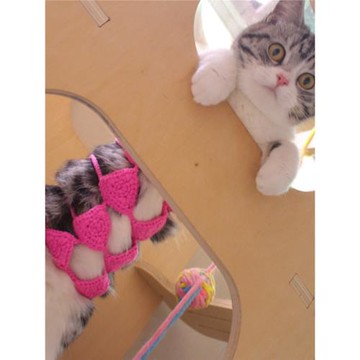 搞怪騷氣貓咪比基尼泳裝寵物貓變身裝搞笑豬咪草裙舞英短美短服飾