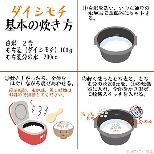 岡山県産・香川県産 もち麦（ダイシモチ） 残留農薬不検出麦 ５kg（１袋） 国産