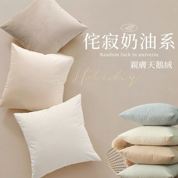 【菓拉小舖】24H台灣出貨💓素色舒心絨抱枕 高磅數 莫蘭迪 抱枕 可拆洗抱枕 北歐抱枕 抱枕套 沙發抱枕 兩用沙發靠墊