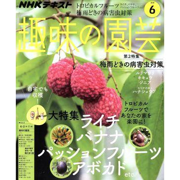 ＮＨＫテキスト　趣味の園芸(６　２０１９) 月刊誌／ＮＨＫ出版
