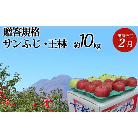 ふるさと納税 2月発送 贈答用 サンふじ・王林約10kg　 青森県弘前市