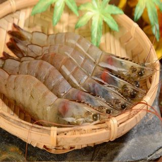 華得水產 天然巨無霸生白蝦2盒組(600G土10%/盒/約10-15尾)
