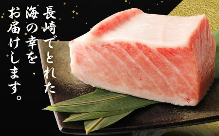 長崎県産 本マグロ（養殖）大トロ 皮付き 約600g 生食用