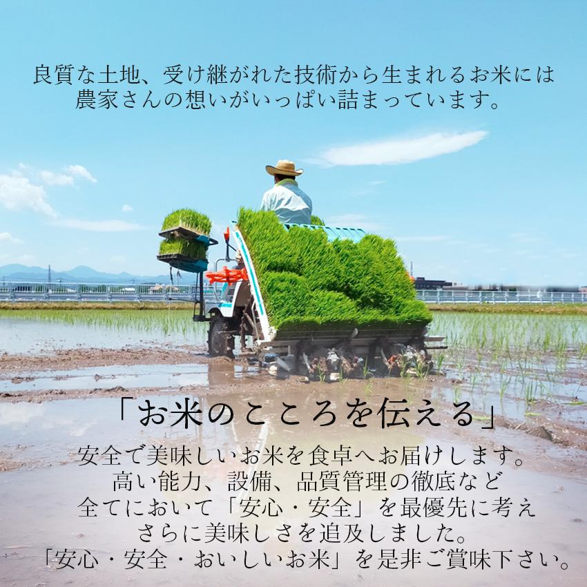 新米 米 10kg コシヒカリ 福島県産 (5kg×2) 白米 お米 ごはん 工場直送