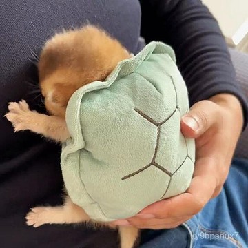 烏龜殻貓咪衣服可愛搞怪可穿龜殻裝幼貓保暖小型犬變裝服拍照神器俊男