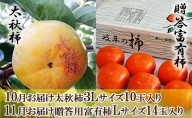 ［柿食べ比べセット］太秋柿  3L 10玉＆贈答富有柿 14玉