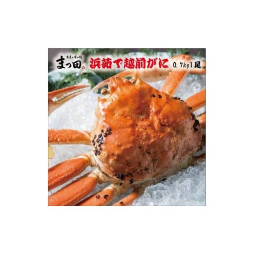 ふるさと納税 福井県 福井市 まっ田の浜ゆで越前がに0.7kg　1尾[G-007005]