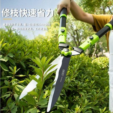 ✅嚴選好物✅【得力】園藝剪刀剪樹枝專用剪刀修枝剪花剪修剪樹枝剪刀剪草伸縮剪刀