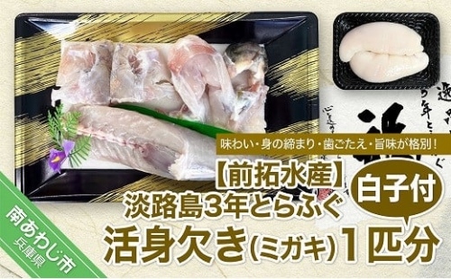 淡路島3年とらふぐ（活身欠き１匹分）白子付◆配送12月2日～2月28日