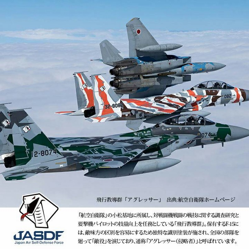 自衛隊 グッズ アグレッサー 飛行教導群 コブラ ドクロ 小松基地 F15 空自 キーホルダー 車 キーリング ミリタリー ワッペン 刺繍 航空自衛隊  ヘビ スカル | LINEブランドカタログ