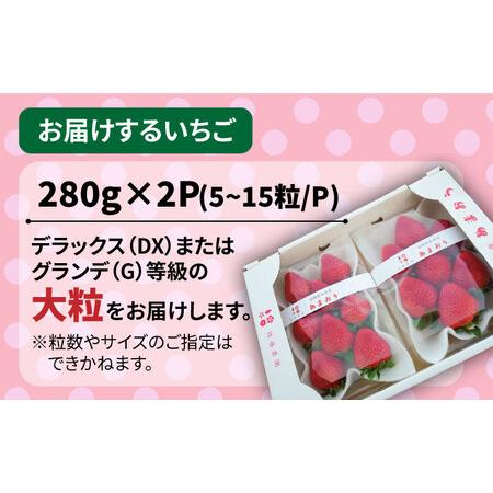 ふるさと納税 糸島産あまおう 280g×2パック (DXおよびGサイズ) 糸.. 福岡県糸島市