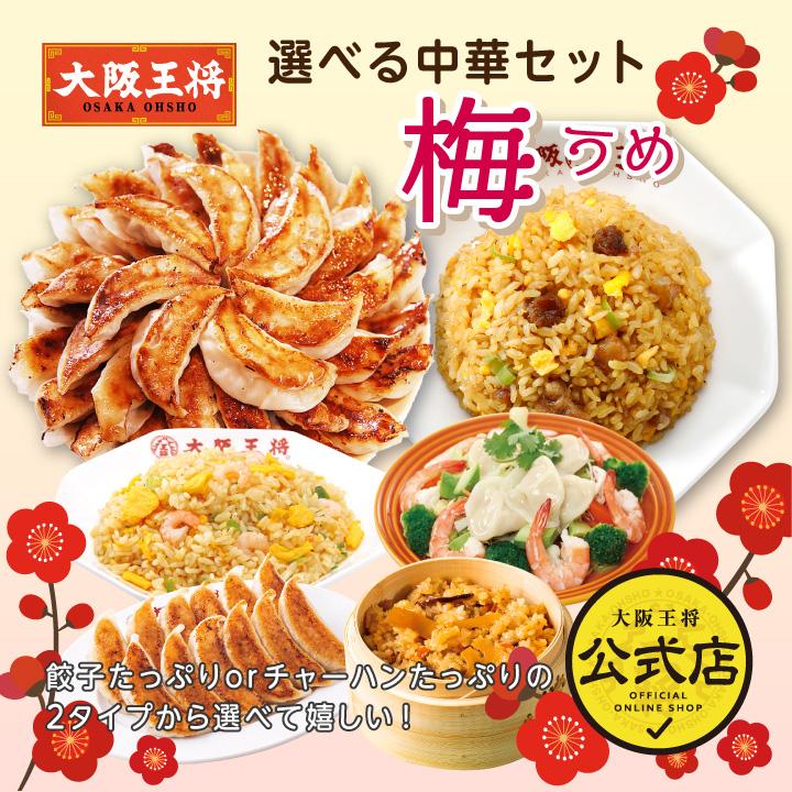 餃子 取り寄せ 大阪王将 今月の選べる中華セット 梅 送料無料 (お取り寄せグルメ 冷凍餃子 チャーハン 中華 冷凍食品 点心 通販 炒飯 ギフト 国産品 (国内製造)