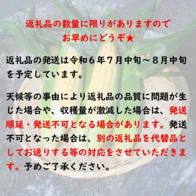 ふるさと納税 村田町 とうもろこし味来(みらい　約3.0kg)　数量限定