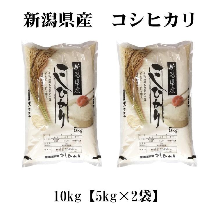 新米 お米 10kg 白米 送料無料 コシヒカリ 5kg×2袋 新潟県産 令和5年産 お米 あす着く食品 北海道・沖縄は追加送料