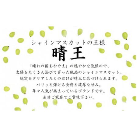 ふるさと納税 岡山県産シャインマスカット晴王5kg 岡山県備前市