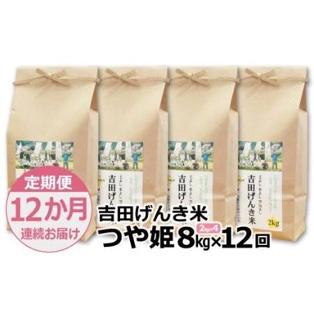 ふるさと納税 「吉田げんき米」つや姫8kg（2kg×4） 島根県雲南市